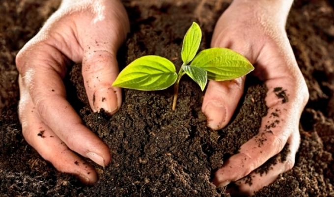 Producirán biofertilizantes a partir de residuos de cerveza artesanal