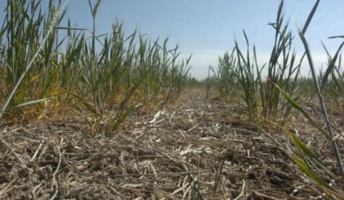 Enero cierra con pocas lluvias y hay alerta por menos agua para febrero