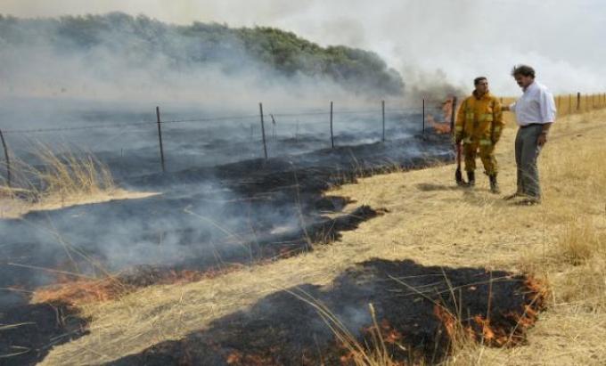 El incendio en la localidad bonaerense de Tronquist ya afectó 20 mil hectáreas