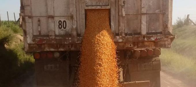 Entidades repudiaron la violencia y aseguran que cayó 70% el ingreso de camiones a los puertos