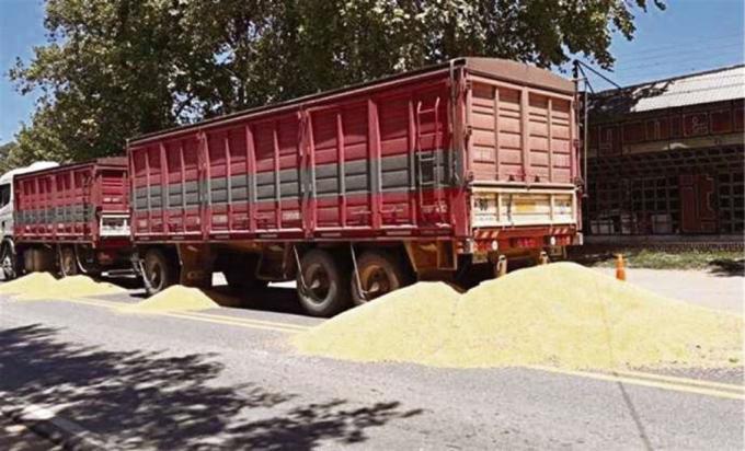 Se agravó el conflicto de los transportistas, que ya afecta la carga de buques.