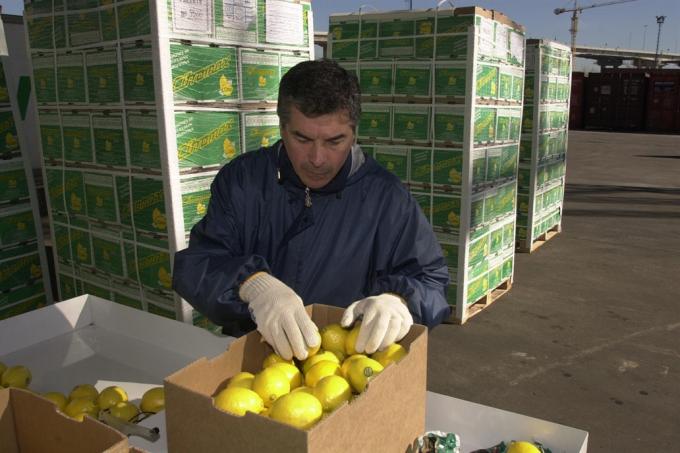 El Senasa reducirá a partir de hoy más trámites para la producción.