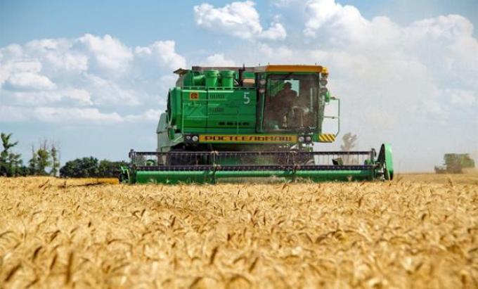 Guerra fina: Rusia le arrebató a EE.UU. el liderazgo en el mercado mundial de trigo