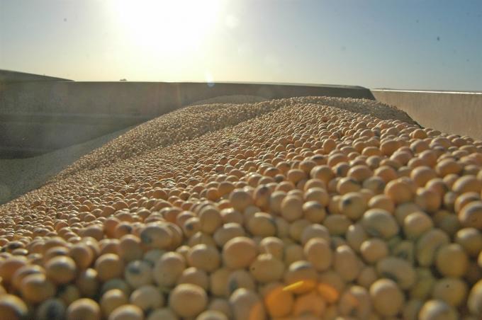 Estiman que el campo tiene soja sin vender por casi US$4200 millones.