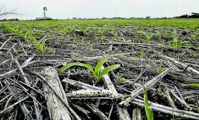 Aapresid presenta un programa para garantizar la sustentabilidad en la producción agropecuaria