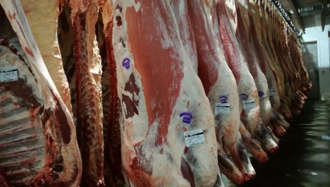 Claves para entender el crecimiento de las exportaciones de carne