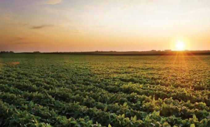 Córdoba impulsa un fondo anticíclico para seguros agrícolas con las retenciones a la soja.