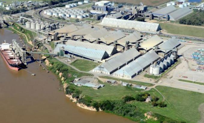 Santa Fe: aumentaron 54,6% las importaciones de porotos de soja en 2017