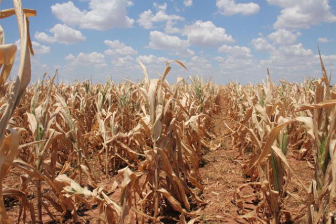 Los gobernadores de la zona pampeana no quieren saber nada con la sequía para evitar la declaración de la emergencia agropecuaria