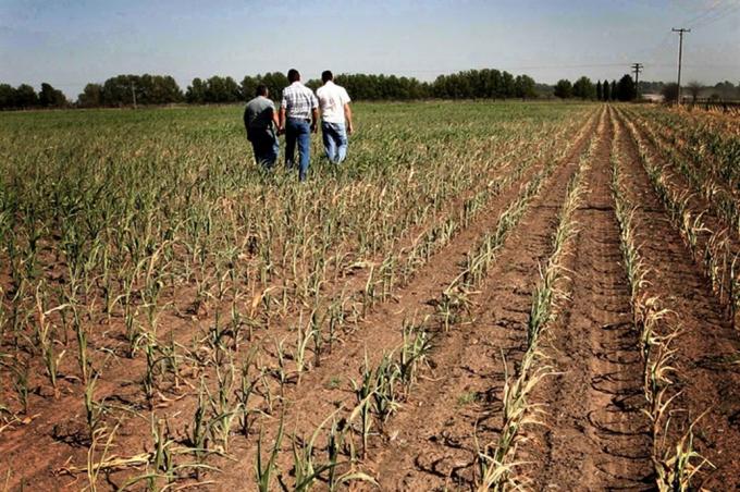 Prevén más bajas en las cosechas y se perderían casi US$5000 millones.