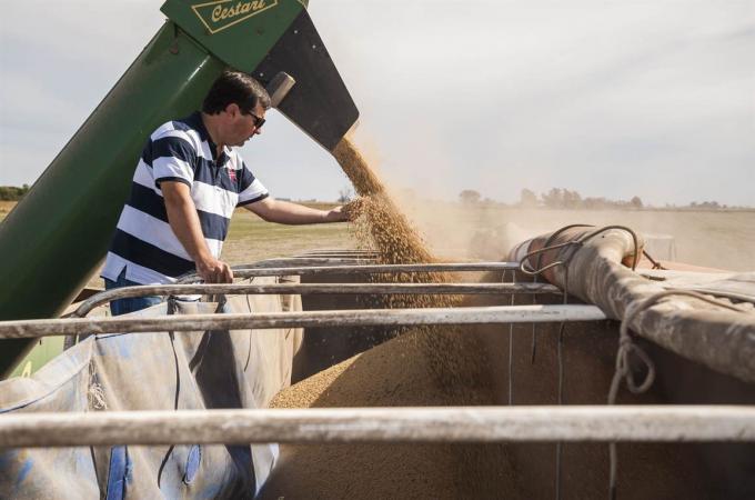 Contratistas: un eslabón indispensable en la cadena de valor agropecuaria.