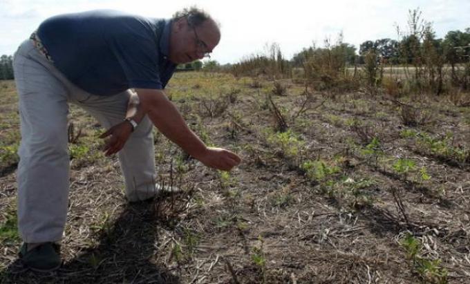 El BCRA prorroga plazos de mora para créditos de productores afectados