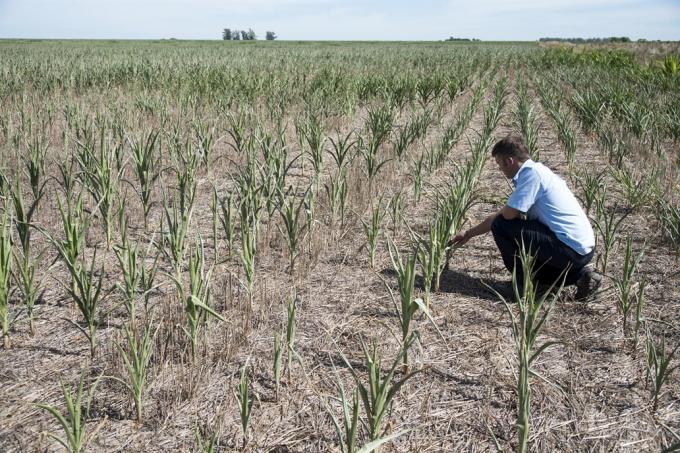 En lo que va del año llovió, en general, 150 milímetros menos de lo normal en la pampa húmeda.