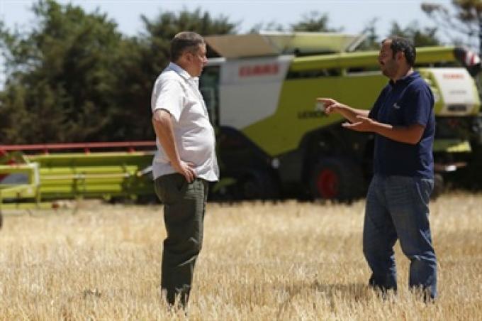 Cómo aumentar la intensidad de la innovación en las empresas del agro.