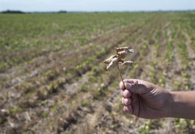 Hacia una gestión integral de riesgos en el campo.