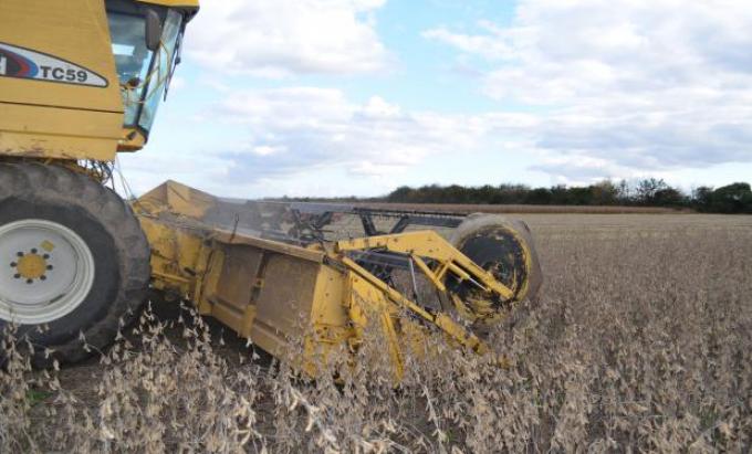 Sequía: por qué en soja hay rindes que van de 800 a más de 5500 kilos por hectárea.