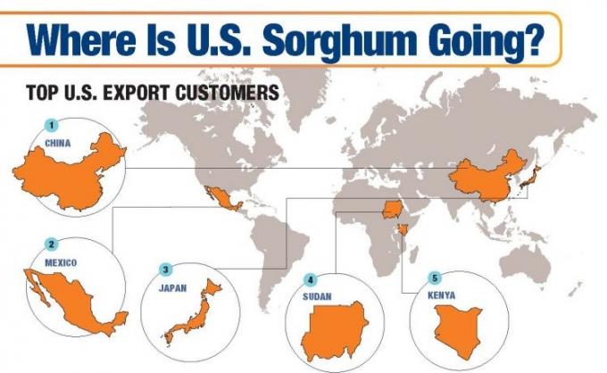 Se intensifica la guerra comercial: China bloqueó el ingreso de sorgo estadounidense con un derecho antidumping del 178%