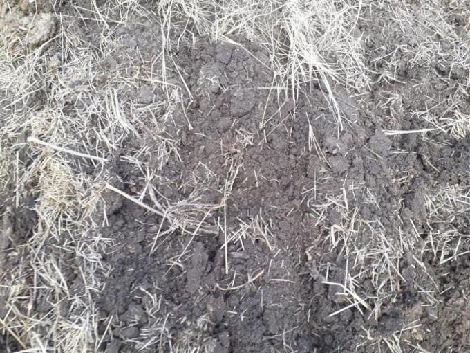Índice de Anomalías de Evapotranspiración Real Acumulada: el nuevo método para determinar dónde se aplica la emergencia agropecuaria por sequía