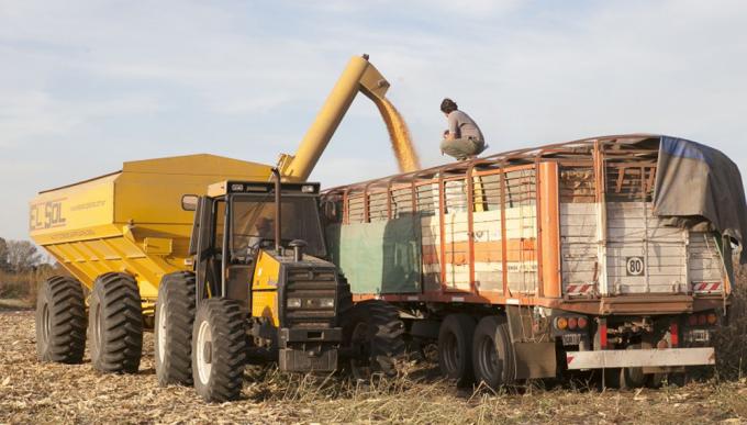 Ya rige el nuevo Sistema de Certificación de Productos de Origen Vegetal para exportación