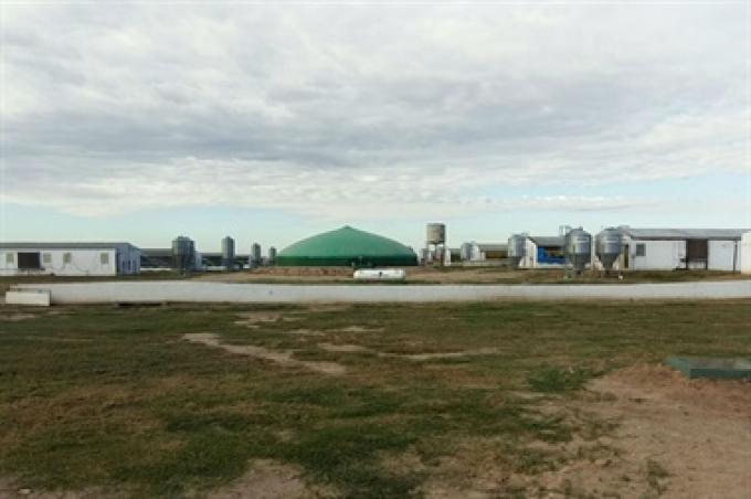 Una granja porcina de Córdoba ahorra 70% de energía con la producción de biogás.