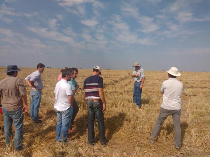 Avanza el diseño de la norma IRAM de Buenas Prácticas Agrícolas