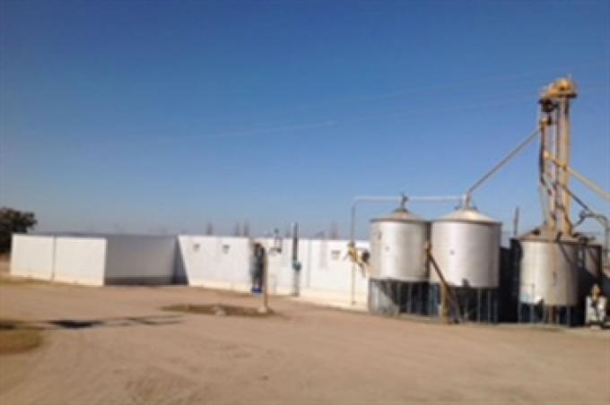 Una firma del agro quiere exportar proteína para consumo humano a Asia, pero no puede por los costos.