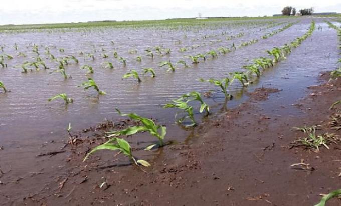 Seguros índices: otro camino para enfrentar los riesgos del clima.