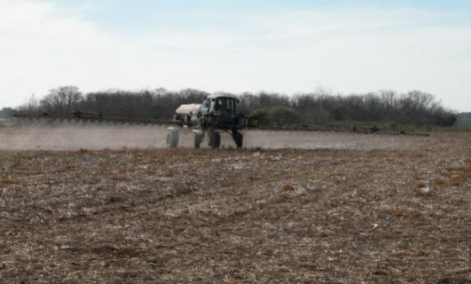 El otoño brinda una oportunidad para el control eficiente de malezas