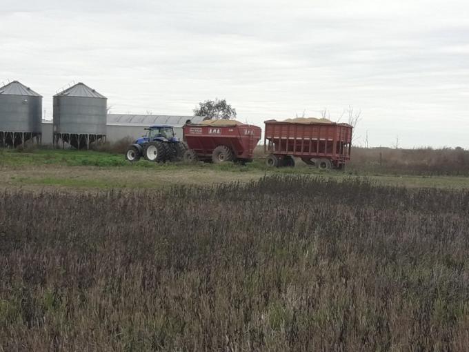 Los productores golpeados por el combo sequía + lluvias torrenciales que logren cosechar 20 qq/ha de soja pagan 175 u$s/ha de retenciones