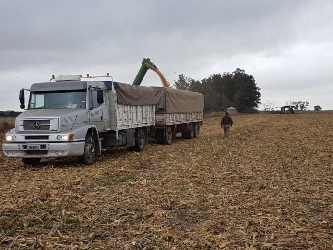Nuevo recorte de la producción estimada de soja argentina: la sequía del verano finalmente llegó a la economía cotidiana