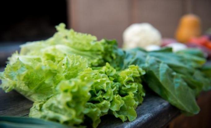 "En Argentina se pierden y desperdician 16 millones de toneladas de alimentos"