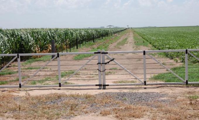 Puntos claves para acordar un buen contrato de arrendamiento rural
