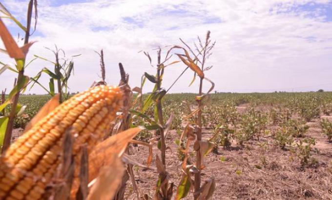 Córdoba: más de 1.800 productores recibieron aportes por apostar a la sustentabilidad