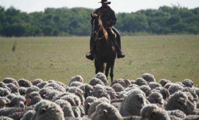 Atención productores: por medio de la gestión de las ART pagar menos cargas sociales es posible