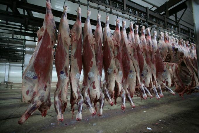 Matarifes rechazan el remito electrónico de la AFIP para la carne.