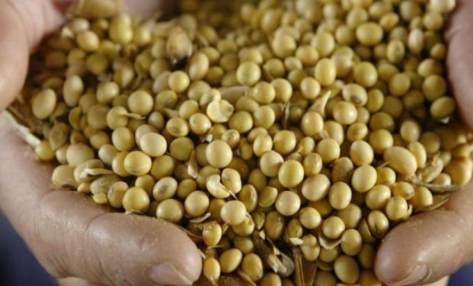 Habrá menos granos en Estados Unidos
