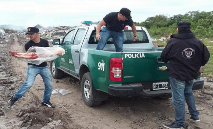 Santa Fe: la inseguridad se cobra 95 cabezas de ganado diarias