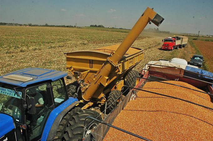 Cayó la participación del Estado en la renta agrícola: de cada $100, se lleva $55,80