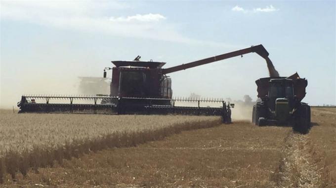 Nueva herramienta comercial: productores podrán cambiar forwards por contratos futuros del Matba