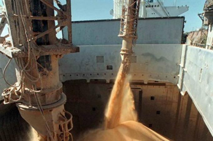 Sequía: prevén importar 6 millones de toneladas de soja de Paraguay.