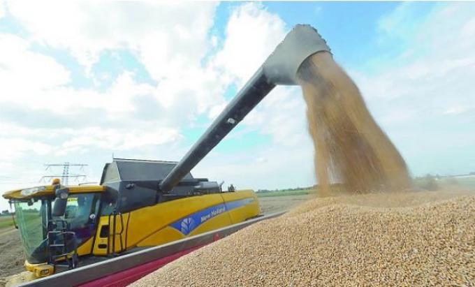 Se viene la década de los cereales y el etanol para la Argentina