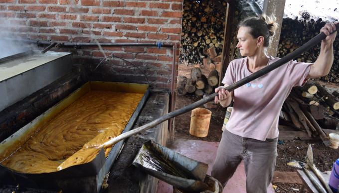 “Los cambios en el Monotributo Social Agropecuario responden a un ciclo cumplido”