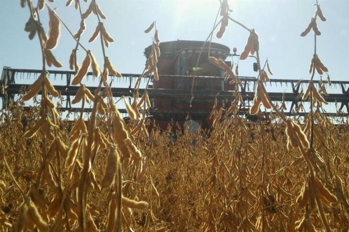 Empresarios que usaron tecnología comercial podrán obtener un ingreso adicional superior a 400 $/ha con la soja de segunda