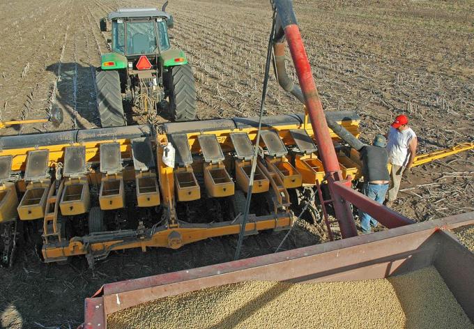 El campo redobla la apuesta: crece la superficie de todos los cultivos en el nuevo ciclo