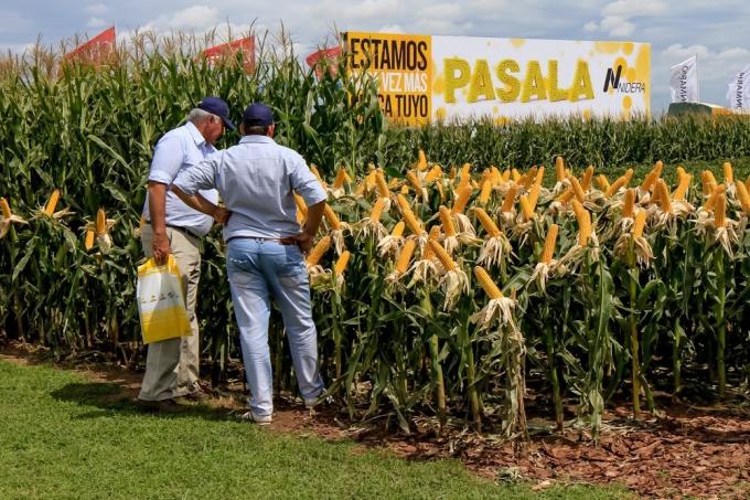 Sin retenciones es mejor: empleados de empresas semilleras son los trabajadores agroindustriales que mayores ganancias salariales registraron en los últimos tres años