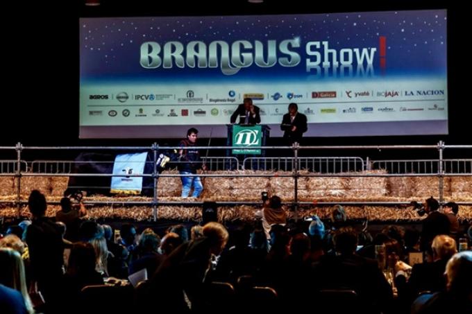 La Rural: juran las principales razas y esperan más extranjeros en las ventas por la mejora en el tipo de cambio.