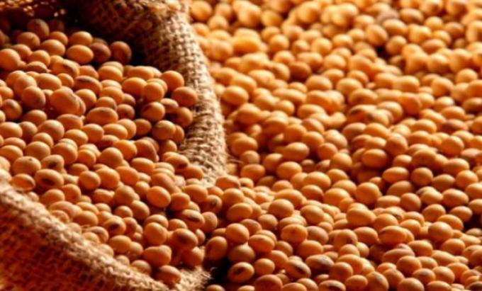 Los precios logran armar pisos nuevamente