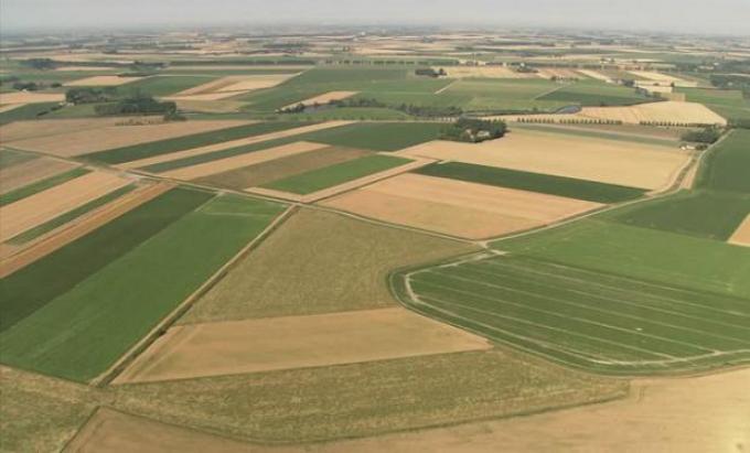 Destacan el valor de la mejora genética para la competitividad de la agricultura argentina 