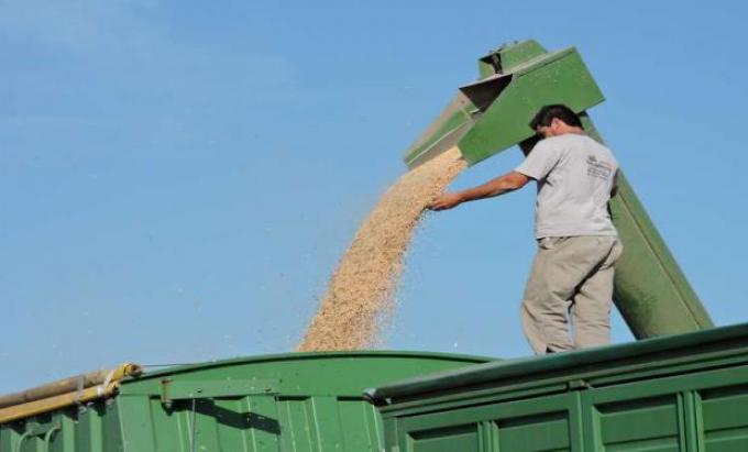 Retenciones móviles para todos: los cereales pasarán a tributar una alícuota del orden del 11%