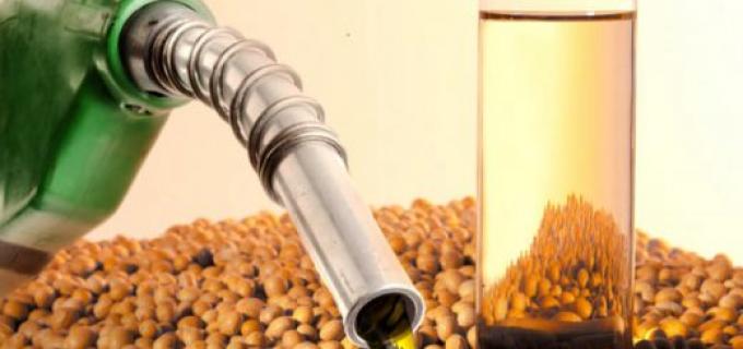 Biodiesel: caen la producción y exportación de Argentina, crece el mercado interno